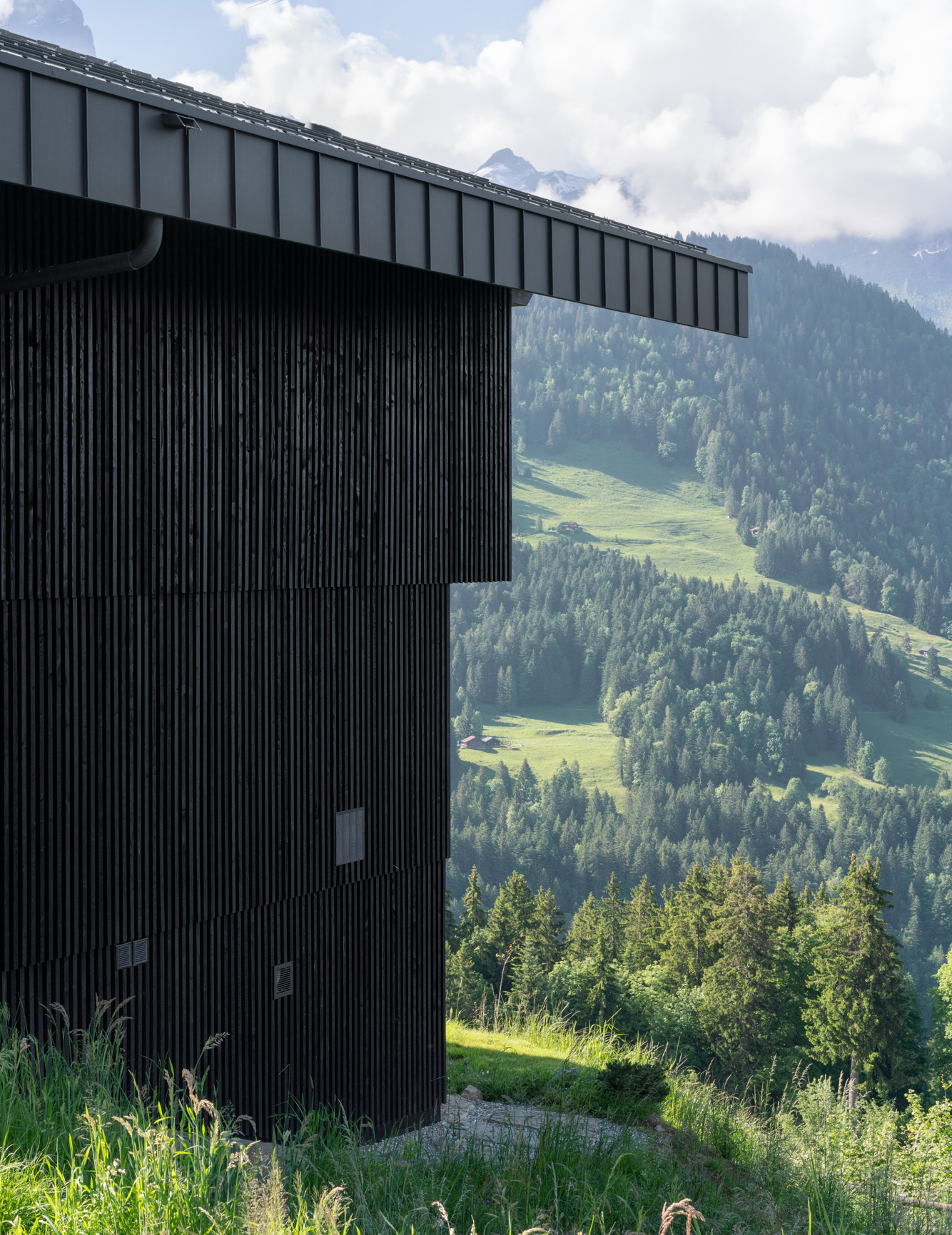 Curated visual reference: Top Floor Living Spaces Reference: Montalba Architects